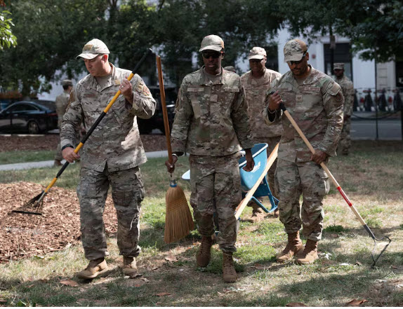 article illustration