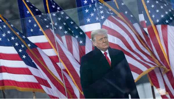 article illustration